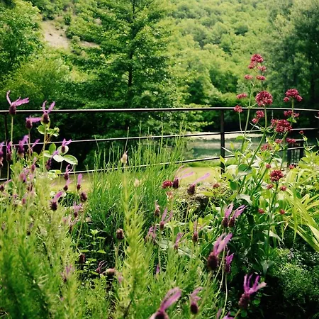 Moulin De Latreille Bed and breakfast