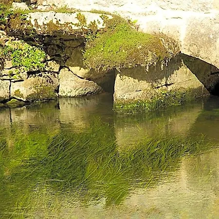 Nocleg ze śniadaniem Moulin De Latreille Calès