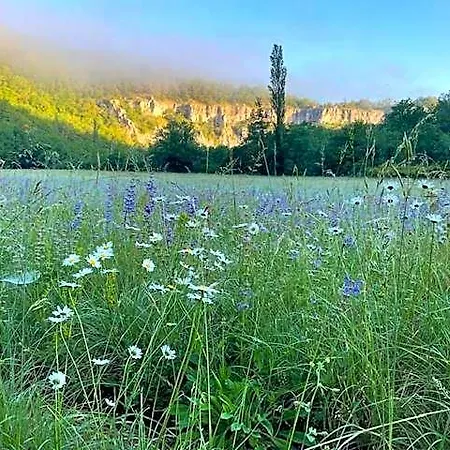 Nocleg ze śniadaniem Moulin De Latreille 4*
