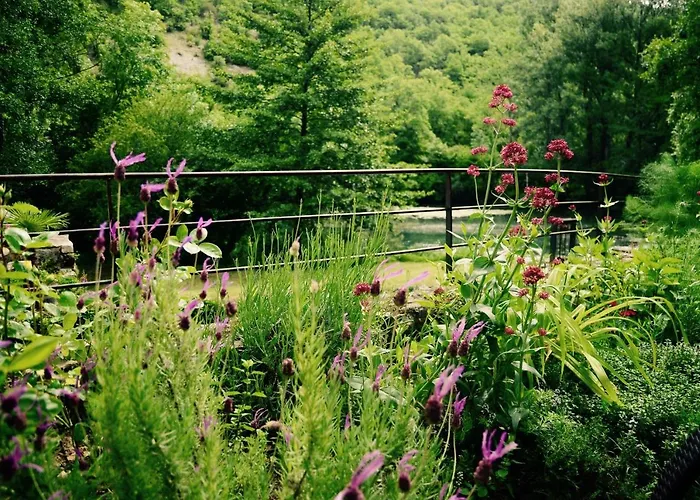 Moulin De Latreille Bed and breakfast