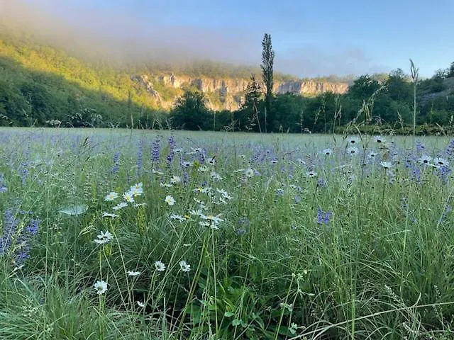 Moulin De Latreille Bed and breakfast Calès